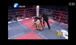 武林风中韩对抗赛 武林风中韩对抗赛