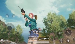 五爪金龙花 五爪金龙花