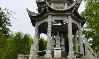 我看见你在雨中漫步